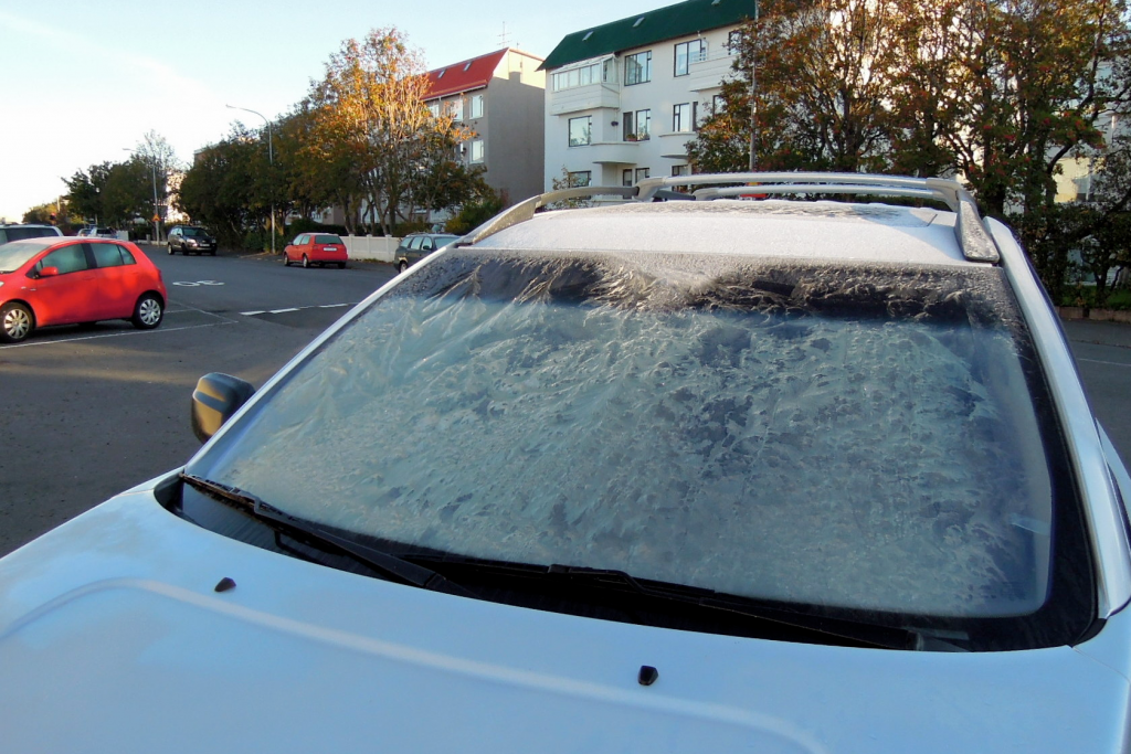 neumáticos para el invierno